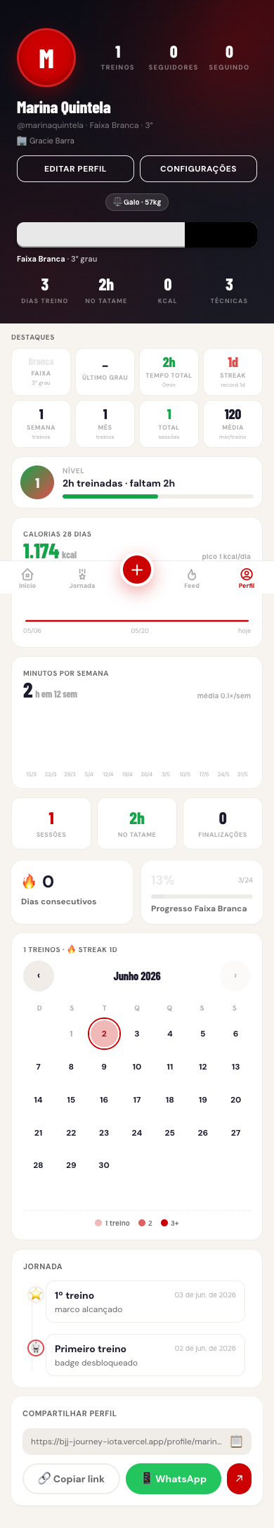Tela de perfil do Belt Rise com estatísticas, calendário de treinos e progresso de faixa